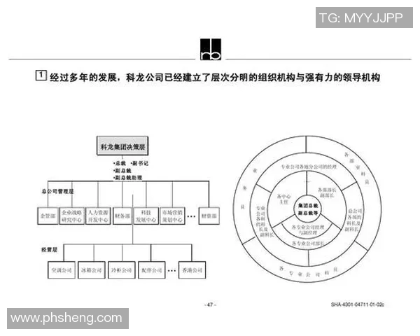 深度分析重庆排球队的运营策略与市场推广模式