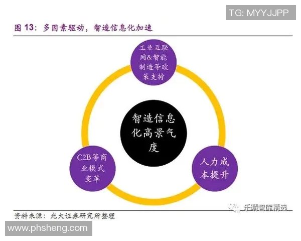 重庆排球队实力大变革引发热议展望未来发展新篇章