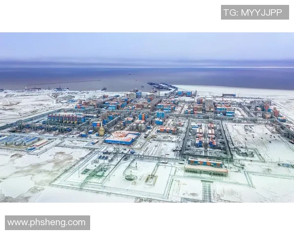 亚马尔地区的资源开发与国际合作新机遇分析